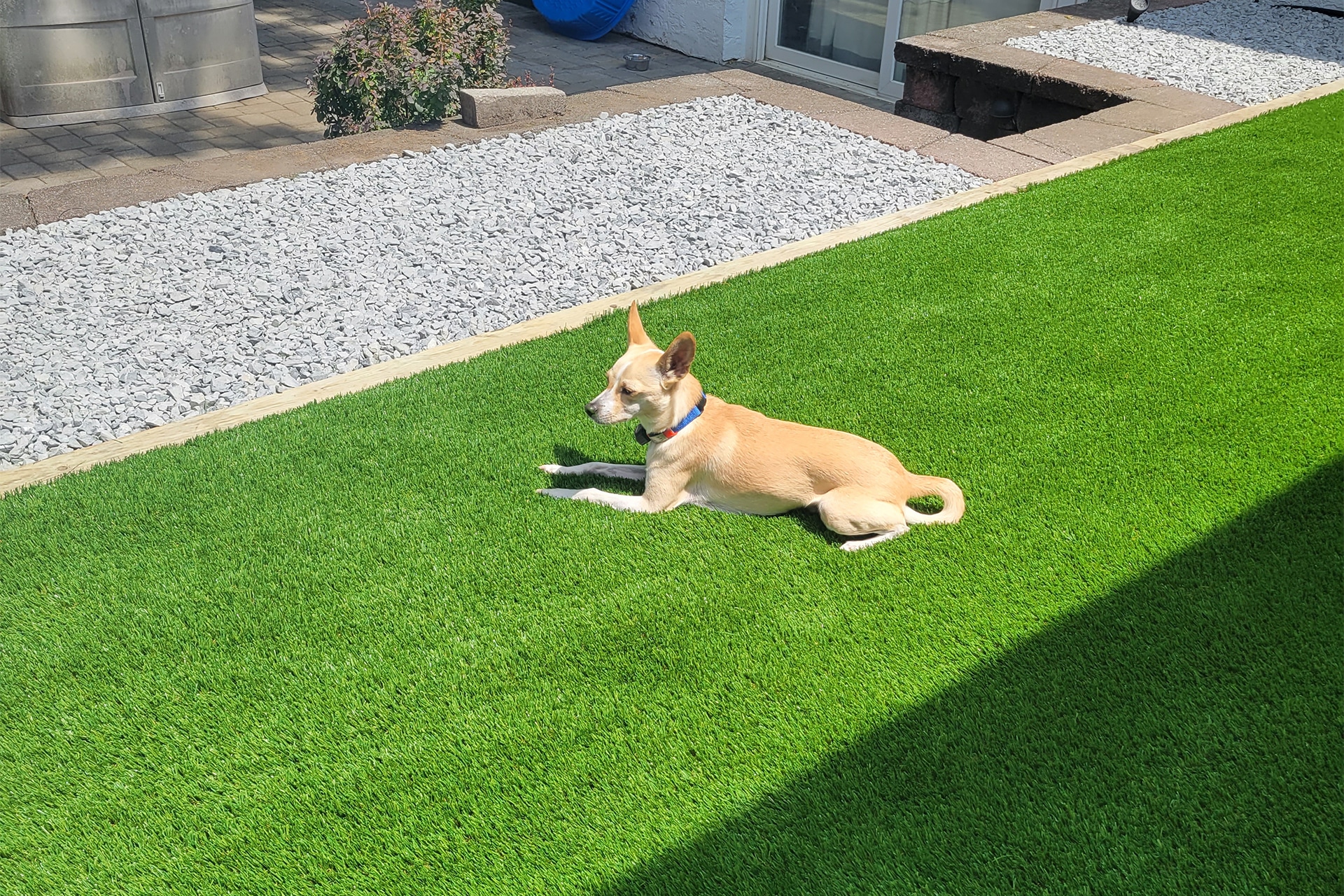 Pet-friendly artificial grass installation